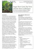 Sugar Beet Curly Top Virus and the Beet Leafhopper cover