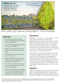 Rhizomania of Sugar Beets cover