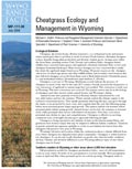 Cheatgrass Ecology and Management in Wyoming cover
