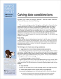 Calving date considerations cover