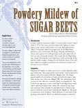 Powdery Mildew of Sugar Beets cover