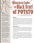 Rhizoctonia Canker and Black Scurf of Potatoes cover