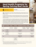 Herd Health Programs for Spring Calving Beef Herds cover