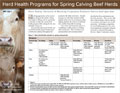 Herd Health Programs for Spring Calving Beef Herds cover