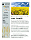 Minimizing Extreme Weather Impacts: Cover Crops 101 cover