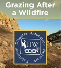 Grazing After a Wildfire cover