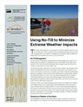 Using No-Till to Minimize Extreme Weather Impacts cover