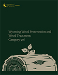 Wood Preservatives and Wood Treatment 916 cover