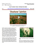 Shoshone Sainfoin cover