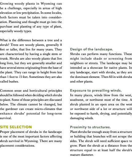 Growing woody plants in Wyoming can be a challenge, especially in areas of high elevation or low precipitation. In so...