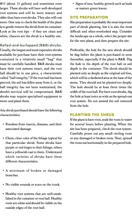 #15 (about 15 gallons) and sometimes even larger. These shrubs will have well-developed root systems and will be more...