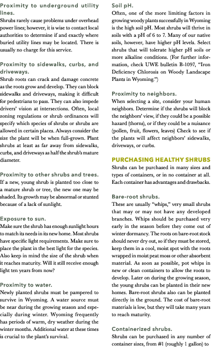 Proximity to underground utility lines. Shrubs rarely cause problems under overhead power lines; however, it is wise ...