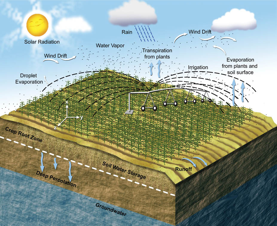 Description: C:\Users\s-drudnic1\AppData\Local\Microsoft\Windows\Temporary Internet Files\Content.Outlook\PO77X3YL\cornfield Daran Rudnick (3).jpg