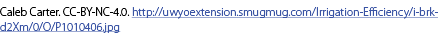Caleb Carter. CC-BY-NC-4.0. http://uwyoextension.smugmug.com/Irrigation-Efficiency/i-brkd2Xm/0/O/P1010406.jpg