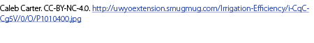 Caleb Carter. CC-BY-NC-4.0. http://uwyoextension.smugmug.com/Irrigation-Efficiency/i-CqCCg5V/0/O/P1010400.jpg