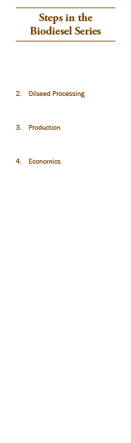 Steps in the Biodiesel Series 1. Consumer Issues 2. Oilseed Processing 3. Production 4. Economics