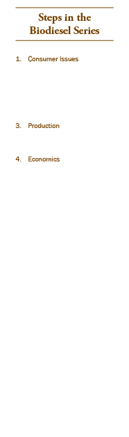 Steps in the Biodiesel Series 1. Consumer Issues 2. Oilseed Processing 3. Production 4. Economics