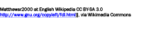  Matthewsr2000 at English Wikipedia CC BY-SA 3.0 http://www.gnu.org/copyleft/fdl.html)], via Wikimedia Commons