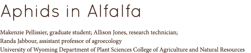Aphids in Alfalfa Makenzie Pellissier, graduate student; Allison Jones, research technician; Randa Jabbour, assistant...