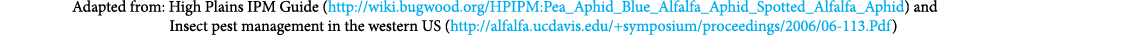  Adapted from: High Plains IPM Guide (http://wiki.bugwood.org/HPIPM:Pea_Aphid_Blue_Alfalfa_Aphid_Spotted_Alfalfa_Aphi...