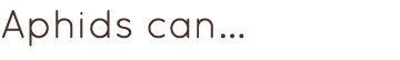 Aphids can...