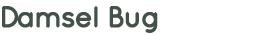 Damsel Bug 