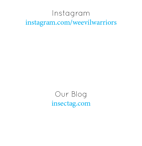  Instagram instagram.com/weevilwarriors    Our Blog insectag.com 