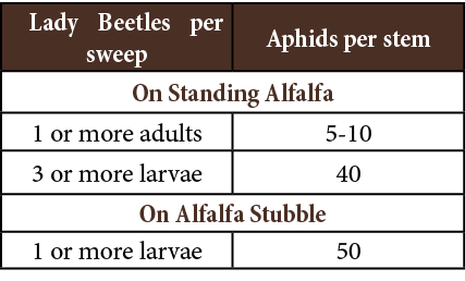  Lady Beetles per sweep,Aphids per stem,On Standing Alfalfa,1 or more adults,5-10,3 or more larvae,40,On Alfalfa Stub...