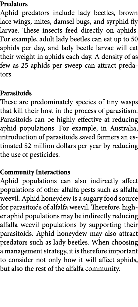 Predators Aphid predators include lady beetles, brown lace wings, mites, damsel bugs, and syrphid fly larvae. These i...