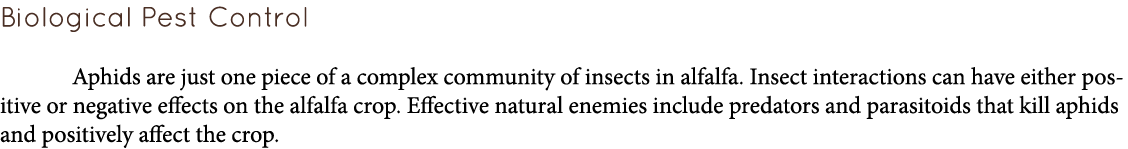 Biological Pest Control  Aphids are just one piece of a complex community of insects in alfalfa. Insect interactions ...