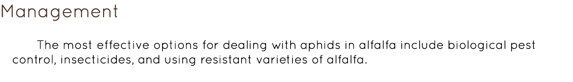 Management  The most effective options for dealing with aphids in alfalfa include biological pest control, insecticid...