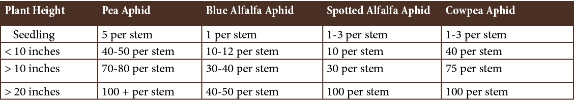 Plant Height,Pea Aphid,Blue Alfalfa Aphid,Spotted Alfalfa Aphid,Cowpea Aphid,  Seedling,5 per stem,1 per stem,1-3 per...