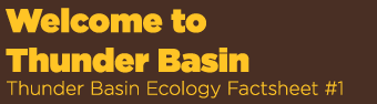 Welcome to Thunder Basin Thunder Basin Ecology Factsheet #1