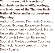 This is the second in a series of factsheets on the wildlife, ecology, and landscape of the Thunder Basin National Gr...