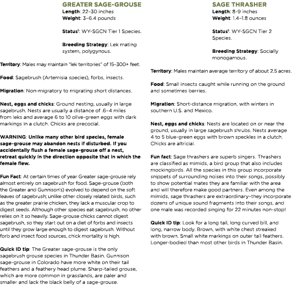 Greater sage-grouse Length: 22–30 inches Weight: 3–6.4 pounds Status1: WY-SGCN Tier 1 Species. Breeding Strategy: Lek...