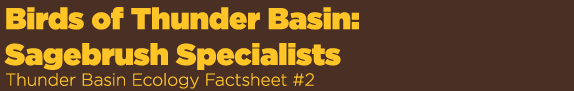 Birds of Thunder Basin: Sagebrush Specialists Thunder Basin Ecology Factsheet #2