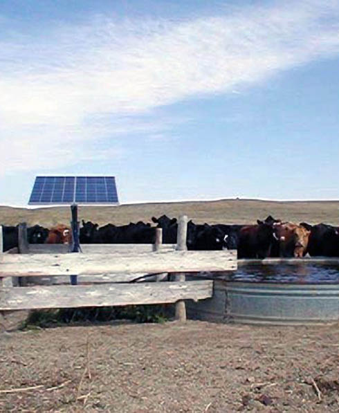 Located just north of Elgin, North Dakota, on the Lloyd Kline ranch, this water pumping system has two 120-watt Kyocera solar panels, a Solarjack pump, and a Solarjack controller. The system pumps around 13 gallons per minute and waters around 100 head of cattle.