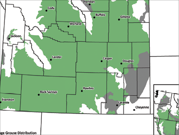 A map of Wyoming  showing sage-grouse habitats across the state  and a smaller map to the right showing habitats across multiple states  