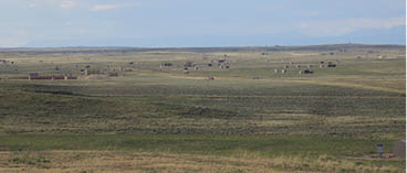 A green prairie with small structures along the background 