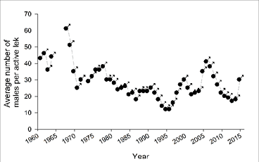 A dot graph showing the average number of male sage-grouse per active lek 