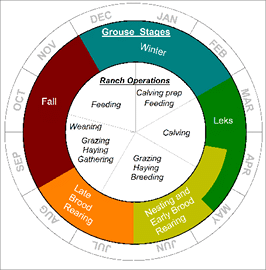 A graph showing sage-grouse life stages to ranch operations 