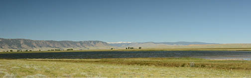 A prairie with a lake and a mountain range in the background  with brown cows in front of the mountains  