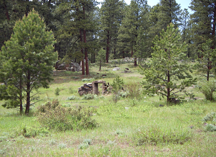 Healthy green ponderosa trees surround a grassy clearing with a small brick wall and doorway 