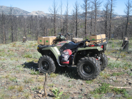 ATV carrying cardboard boxes is parked in a clearing  Burned trees in the background 