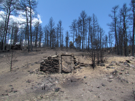 Same location but the clearing with a small brick wall and doorway is now surrounded by burned trees 
