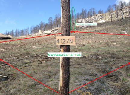 Photo taken of the corner tree of a bare plot 