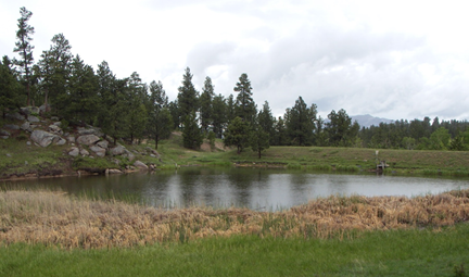 Pond surrounded by green grass with trees and boulders in background 