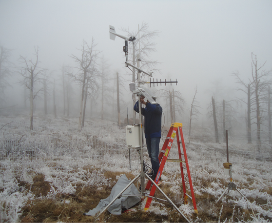 Vivek Sharma makes repairs to the RRS weather station  The plants are covered in a heavy  white frost 
