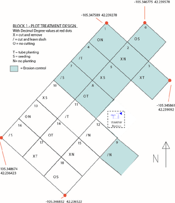 Block 1 plot treatment design map 