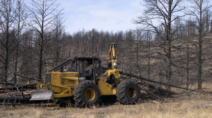 Jim Clyde using a excavator to move downed  burned pine trees  